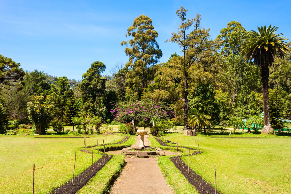 Leisure Day in Nuwara Eliya