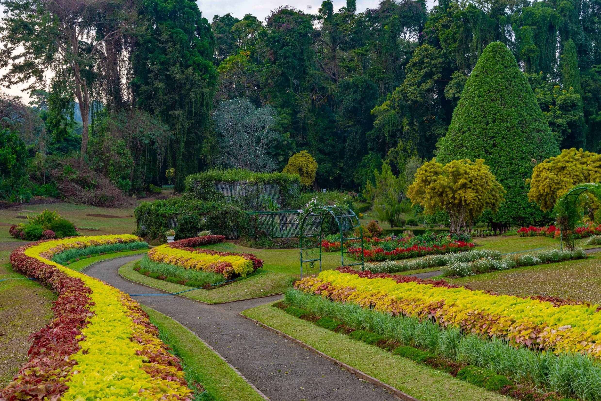 Kandy Cultural Immersion